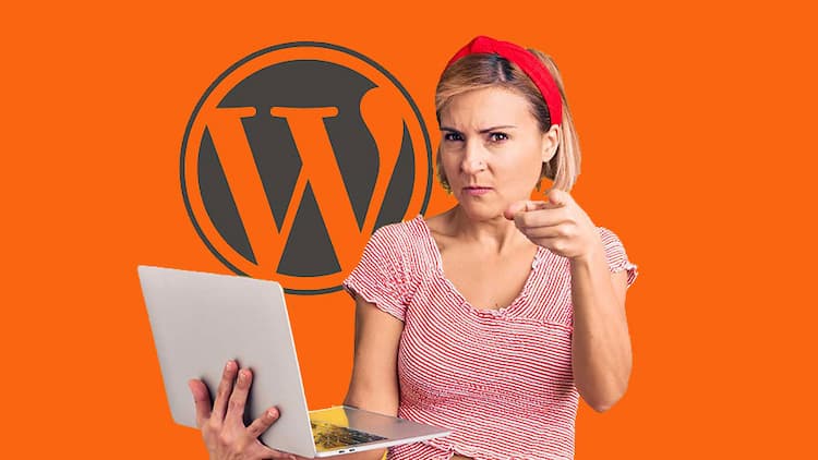 Cara Belajar Seo untuk Blog WordPress Bagi Pemula